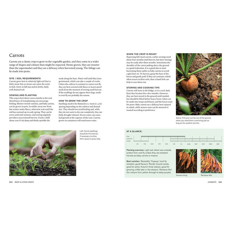 Grow Your Own Veg Through The Year