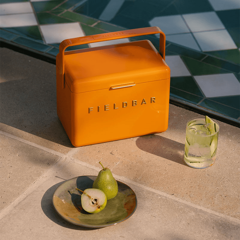 Mini Bar and Swing Sling