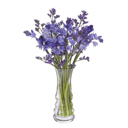 Image showing the Wibble Small vase, H17cm, clear product.