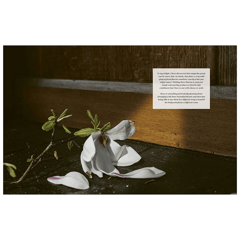 Flower Philosophy: Seasonal projects to Inspire & Restore