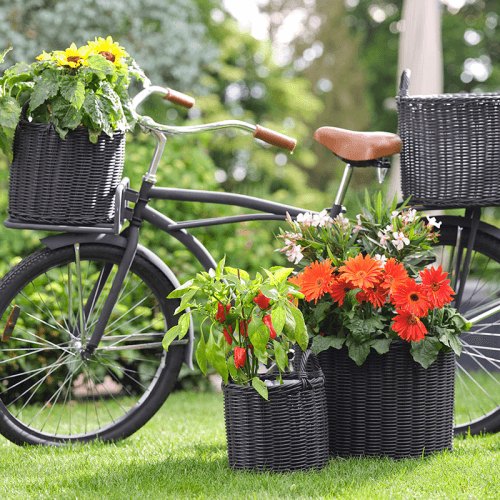 Image showing the Polyrattan Set of 2 Lined Planters, Willow product.