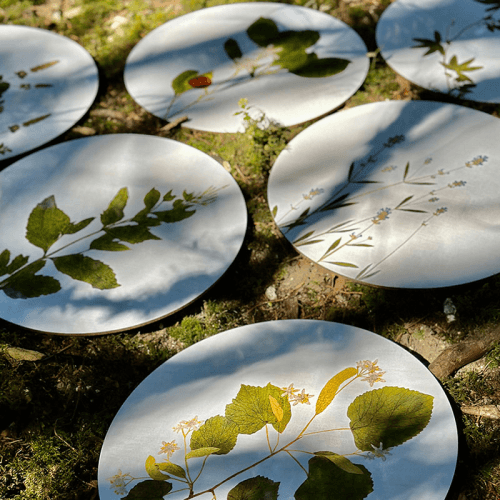 Image showing the Herbarium Set of 4 Round Placemats, D34cm, Green product.