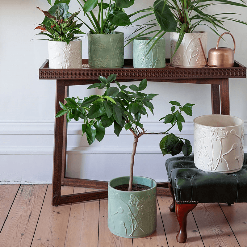 Kew Botanical Retreat Stoneware Meadow Planter, D18cm, Cream
