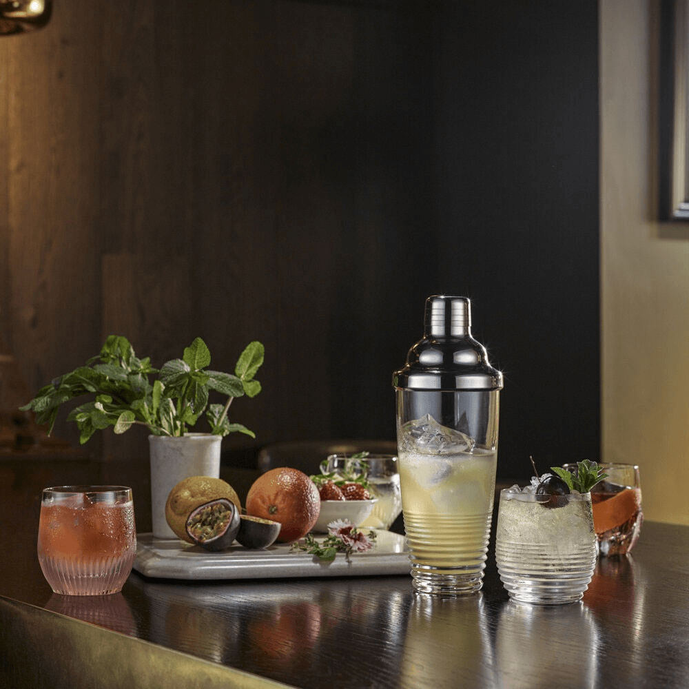 Mixology Cocktail Shaker