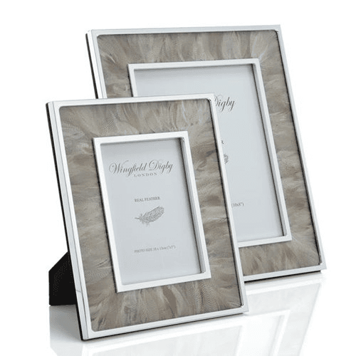 Image showing the Feather and Glass Photo Frame, 8x10", Duck product.