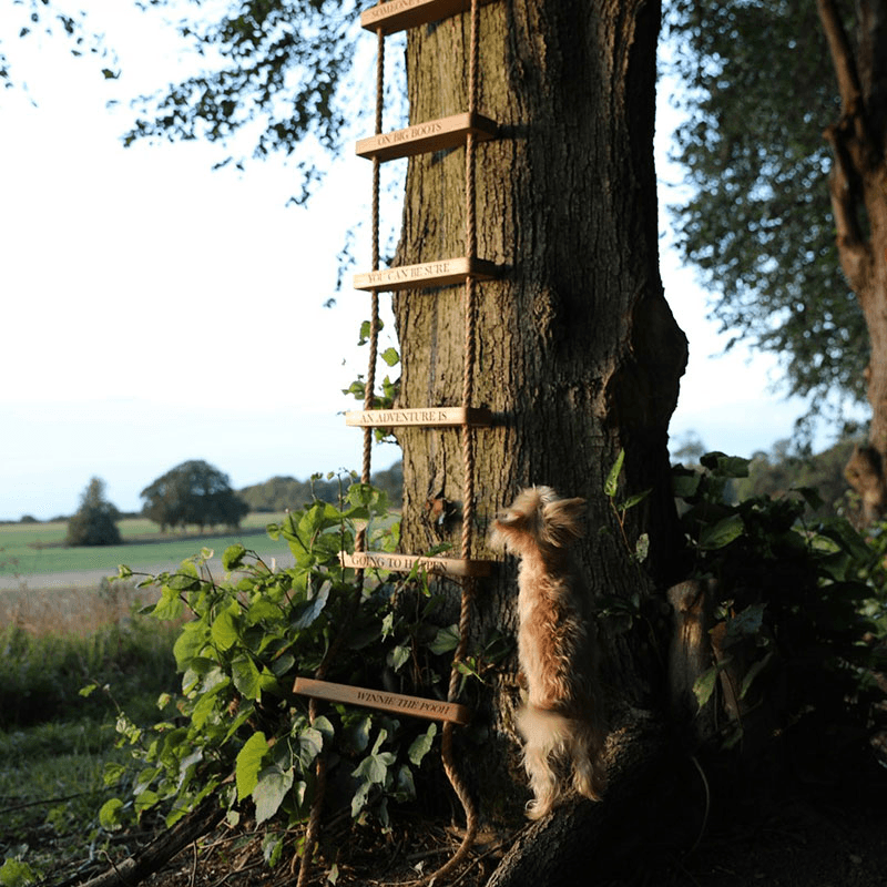 Personalised Rope Ladder, Oak