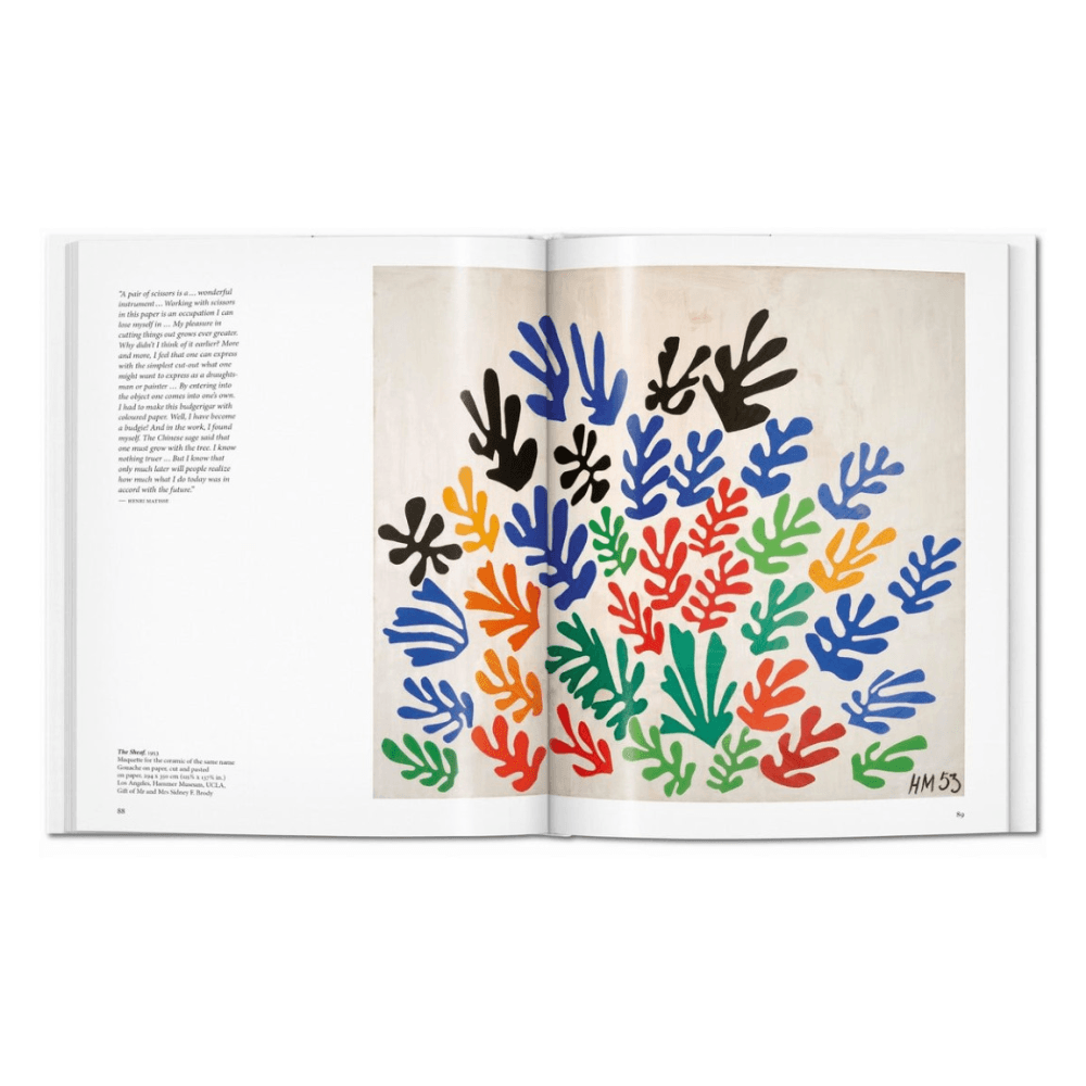 Matisse: Cut-outs