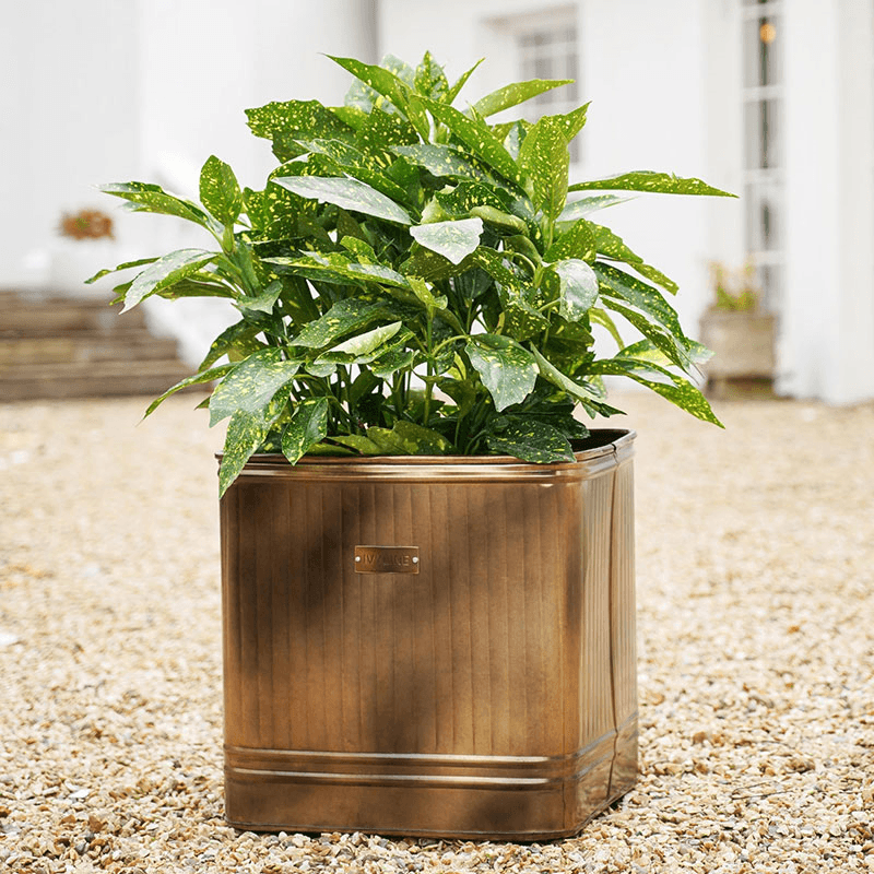 Hampton Planter, D44cm, Copper