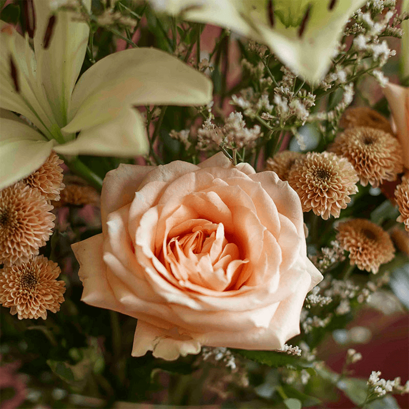Showstopper 6 Month Flower Subscription and Bespoke Vase