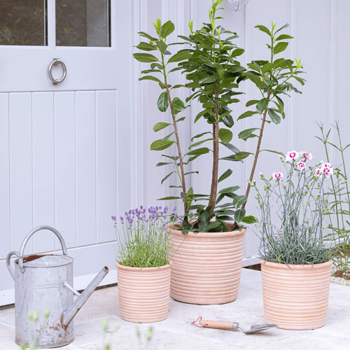 Image showing the Hillcrest Set of 3 Ripple Planters, H30cm, Terracotta product.