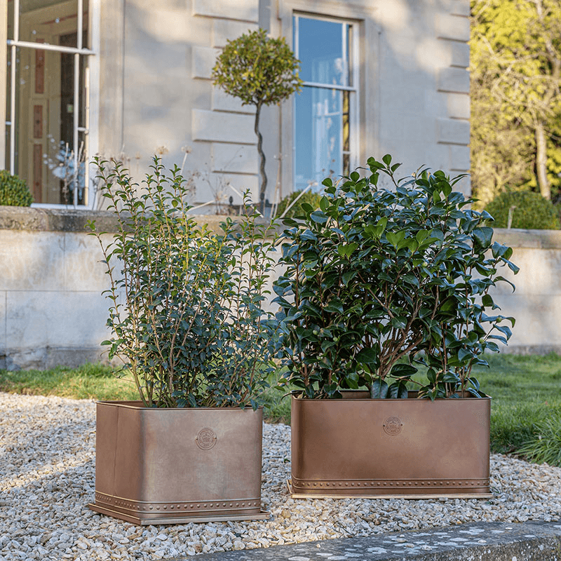 Kew Temperate House Regency Outdoor Planter, D38cm, Copper