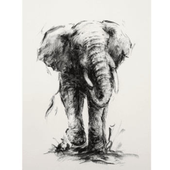 Image showing the Elephany Harmony Mounted Print product.