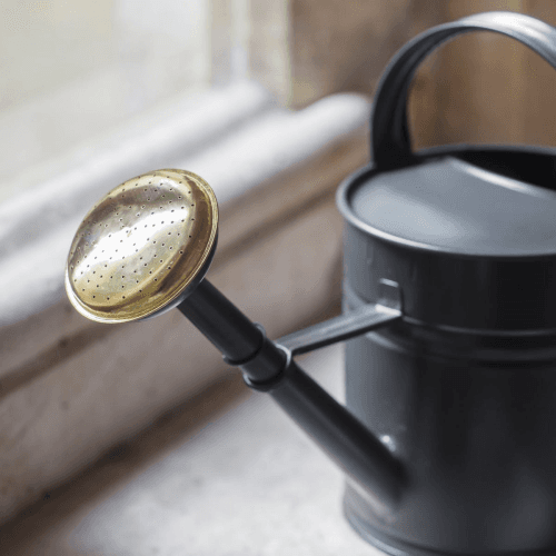 Image showing the Watering Can, 5L, Grey/Brass product.