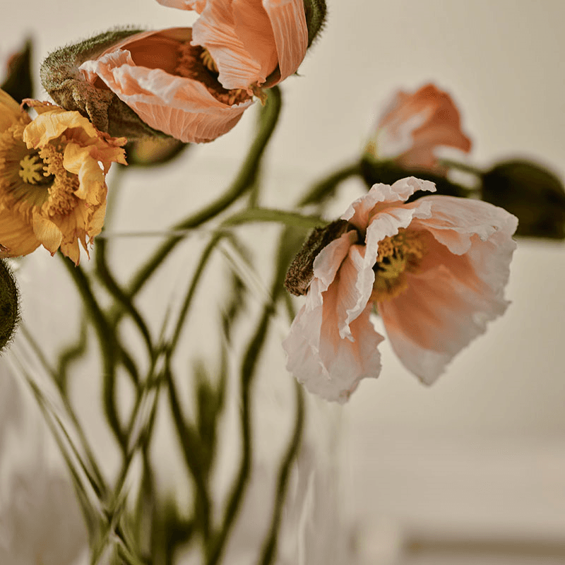 Vase, H40cm, Clear