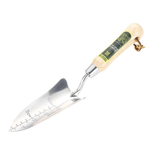 Image showing the Transplanting trowel, H32 x W6.5cm, Natural/Silver product.