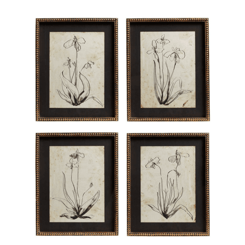 Image showing the Narin Set of 4 Framed Prints, H50cm x W40cm x D3cm, Multi product.