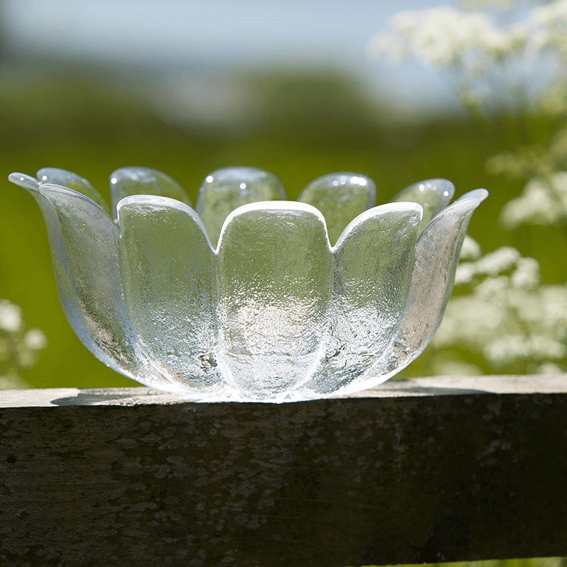 Daisy Bowl, D21.5cm, Clear