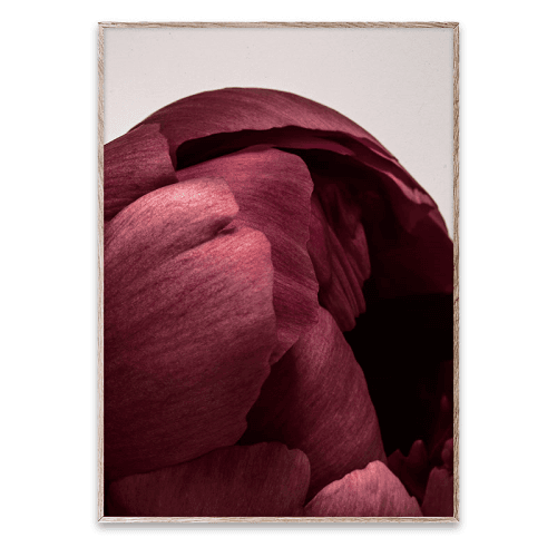 Image showing the Peonia 01 FSC Print, 50 x 70cm product.