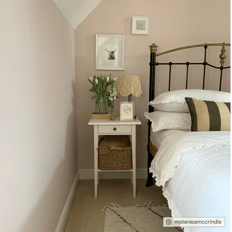 Percy Flat Matt Wall & Ceiling Paint, 2.5L, Pink
