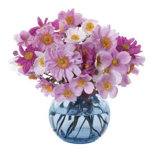 Image showing the Florabundance Anemone Vase, H12.5cm, Ink product.