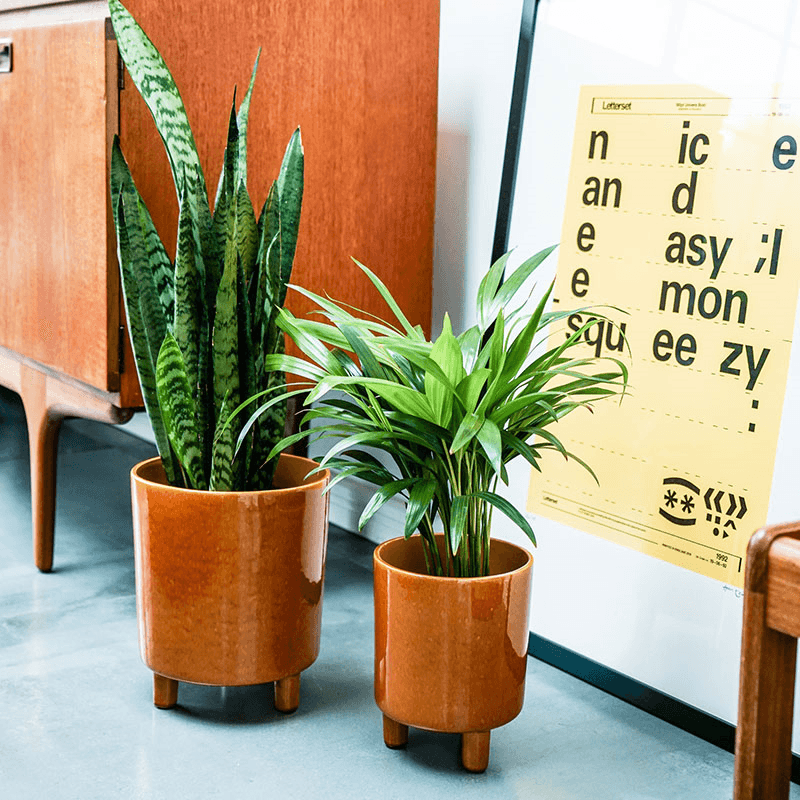 Pisa Planter, H16 x W19 x D19cm, Mustard