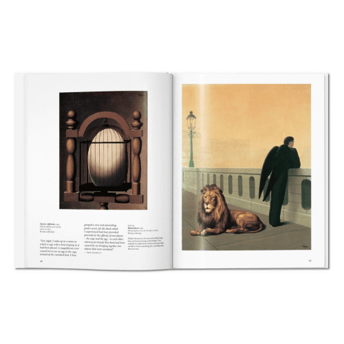Image showing the Magritte product.