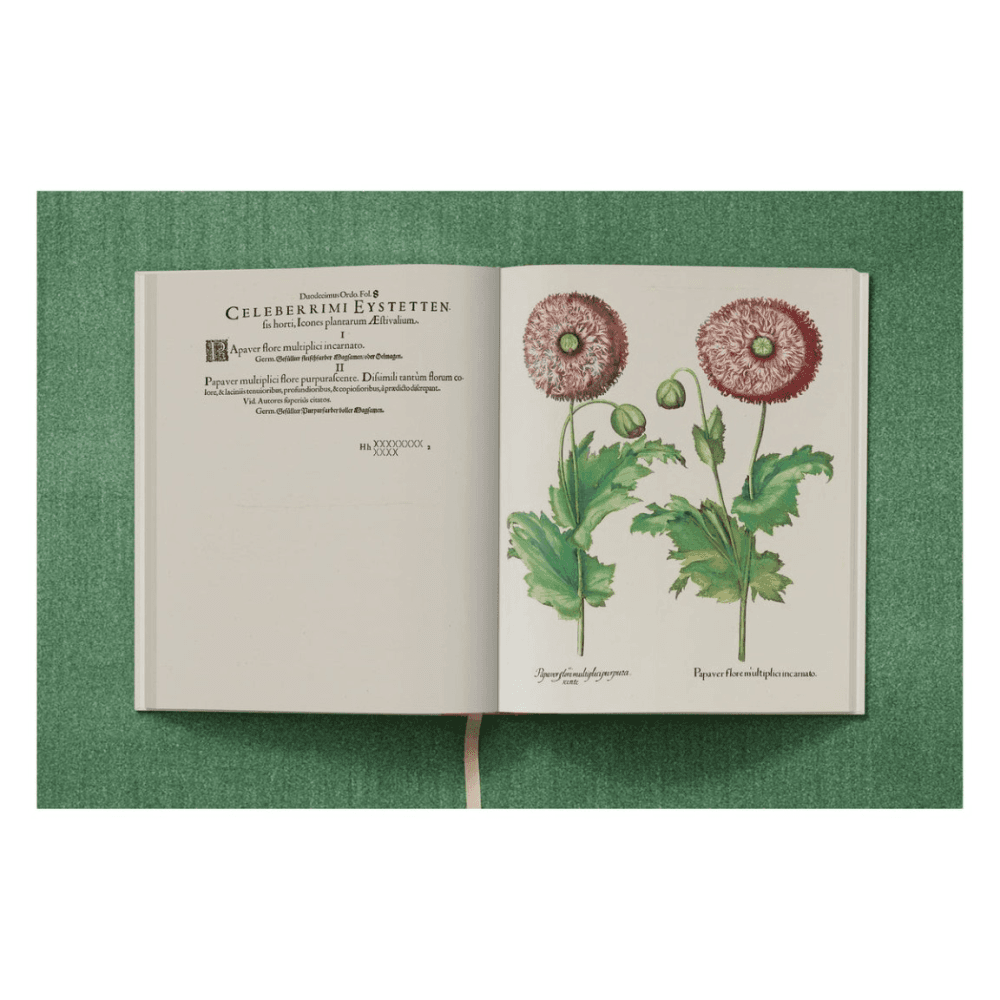 Basilius Besler: The Garden at Eichstatt