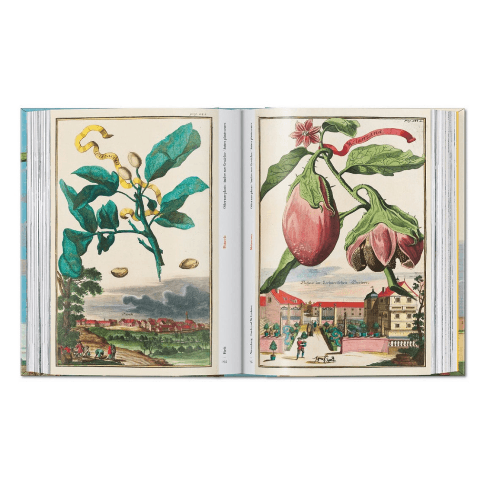 Volkamer: The Book of Citrus Fruits