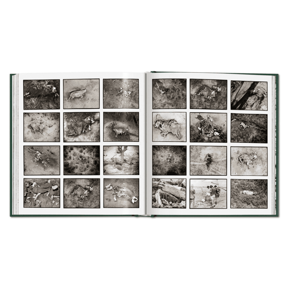 Peter Beard: The End of the Game