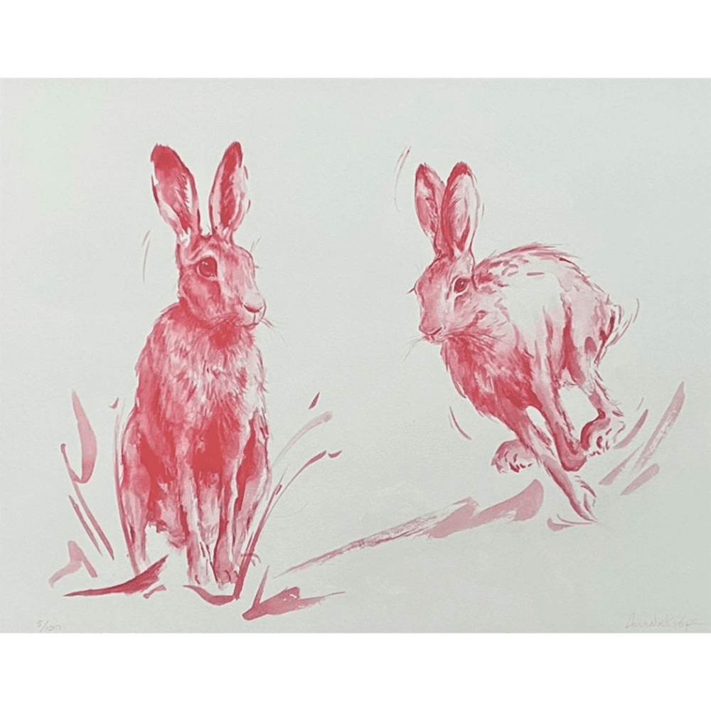 Playful Hare Framed