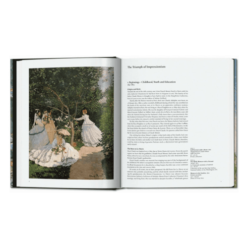 Image showing the Monet: The Triumph of Impressionism product.