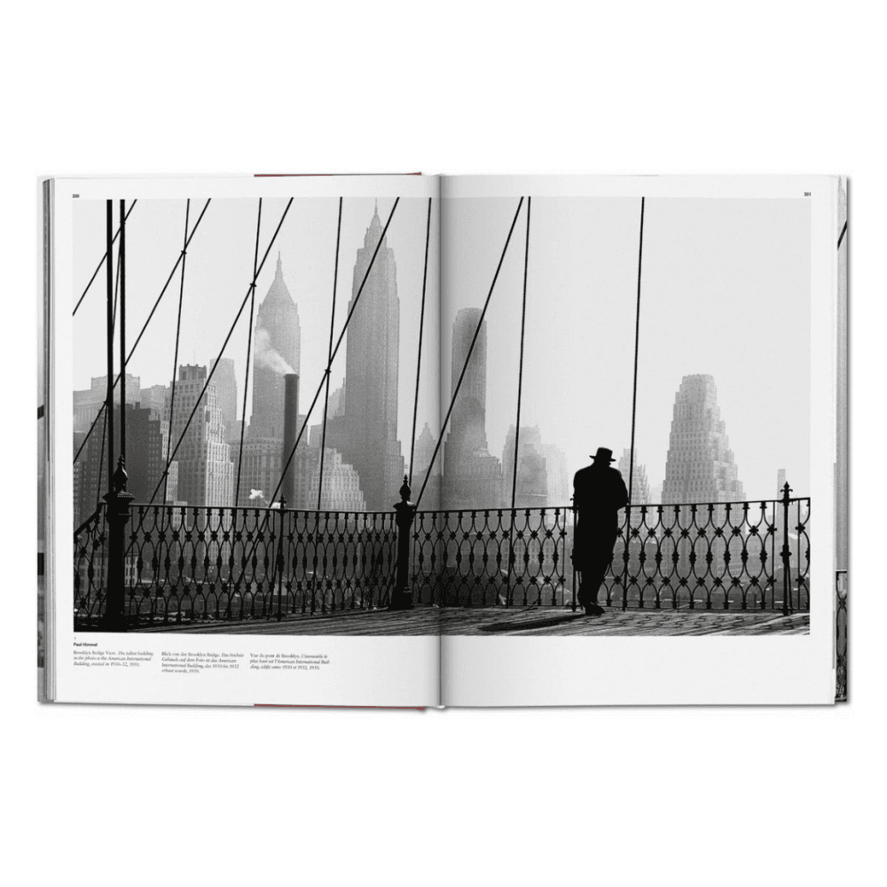 New York: Portrait of a City