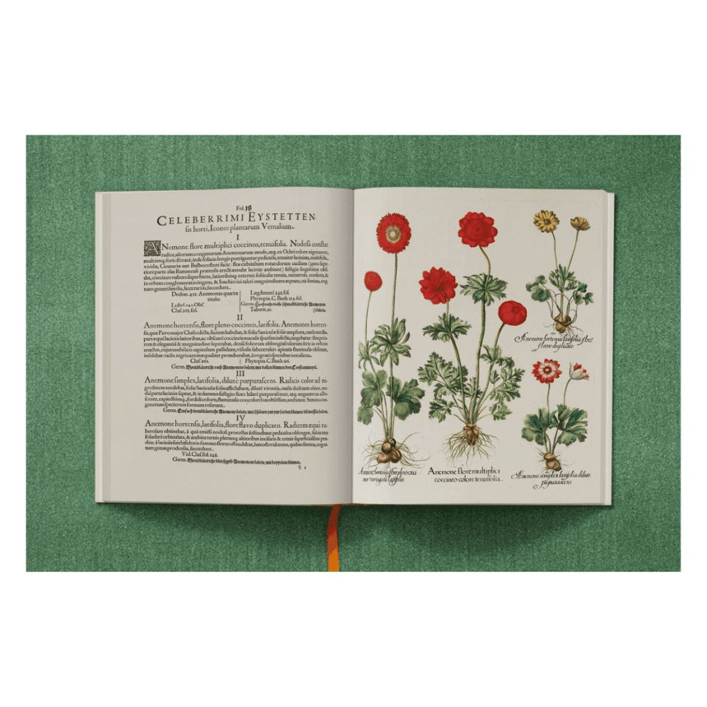 Basilius Besler: The Garden at Eichstatt