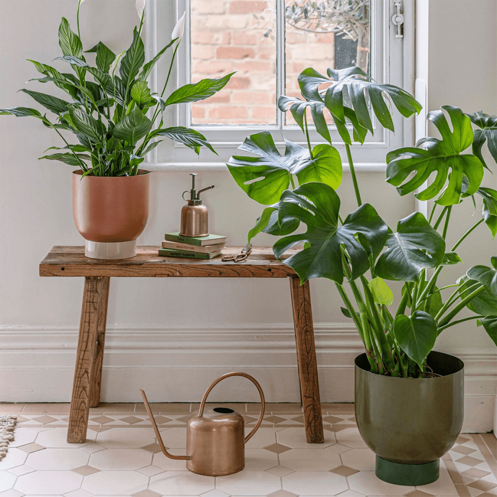 Austin Set of 2 Dual Metal Planters