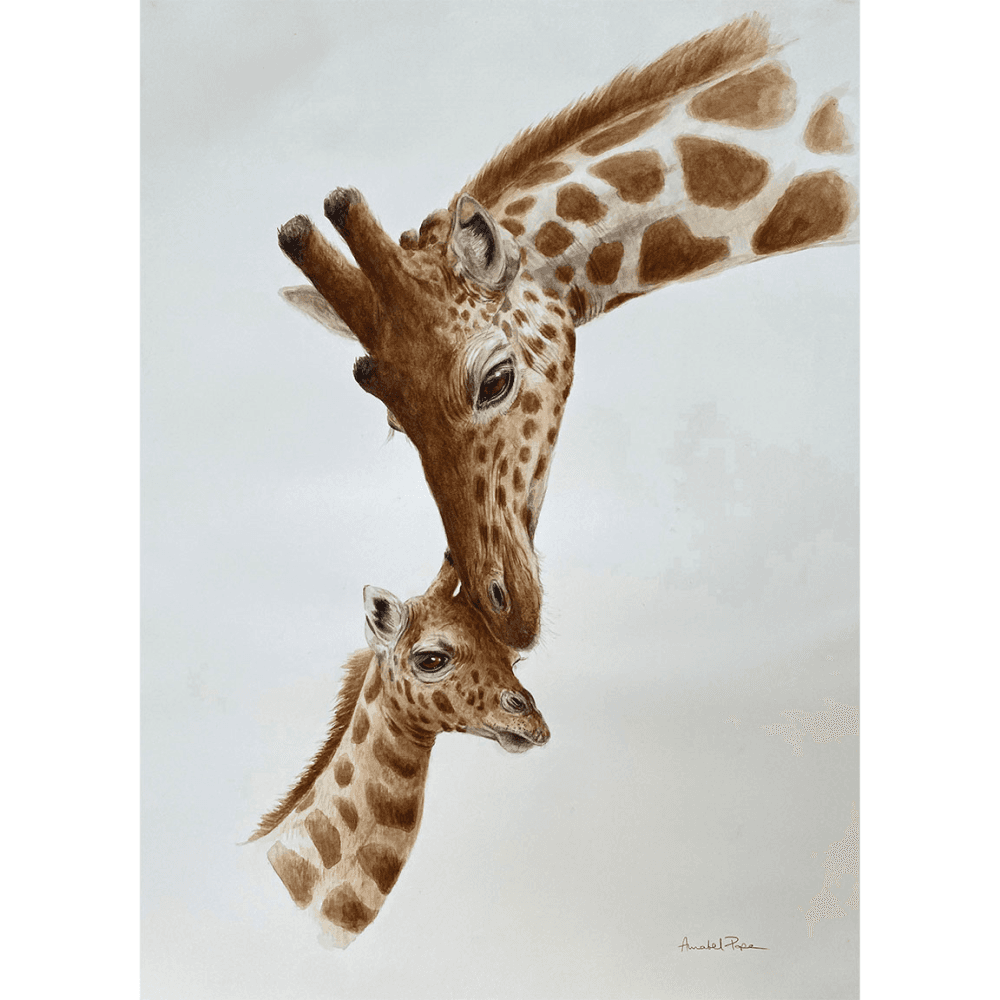 Tight Bond Framed