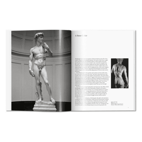 Image showing the Michelangelo product.