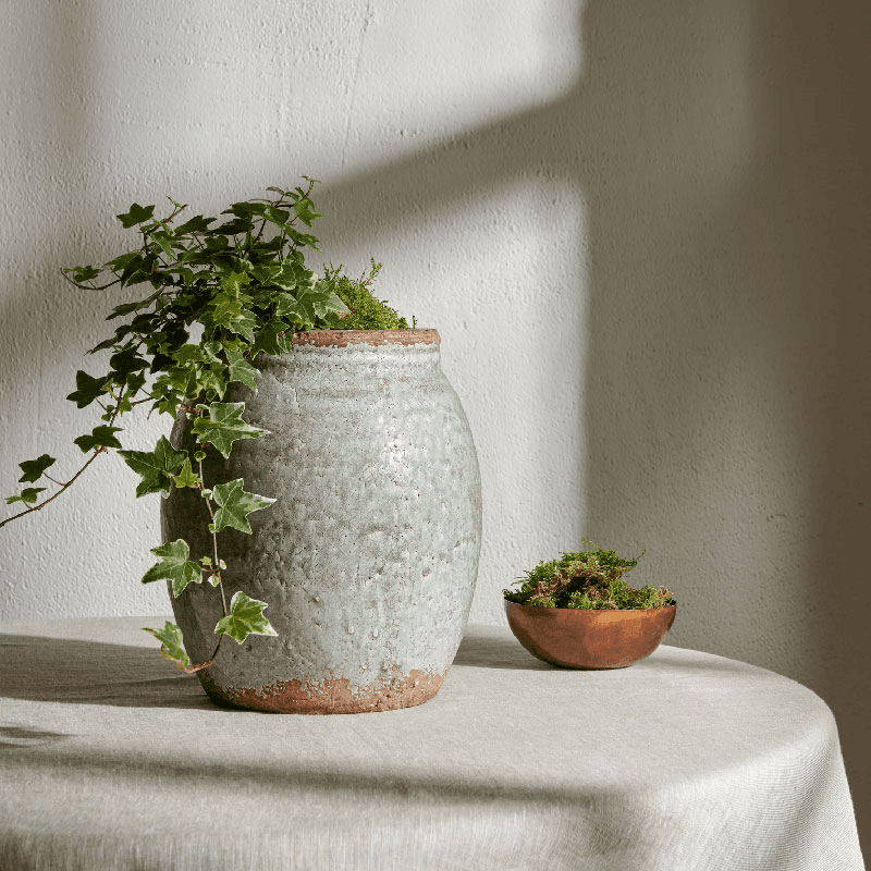 Broseley Pot, Moss