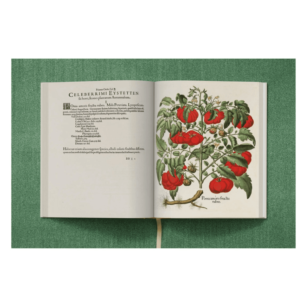 Basilius Besler: The Garden at Eichstatt
