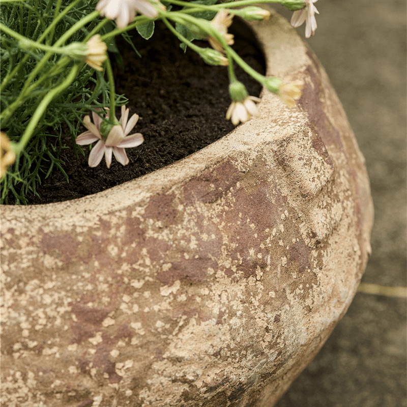 Calstone Wide Planter