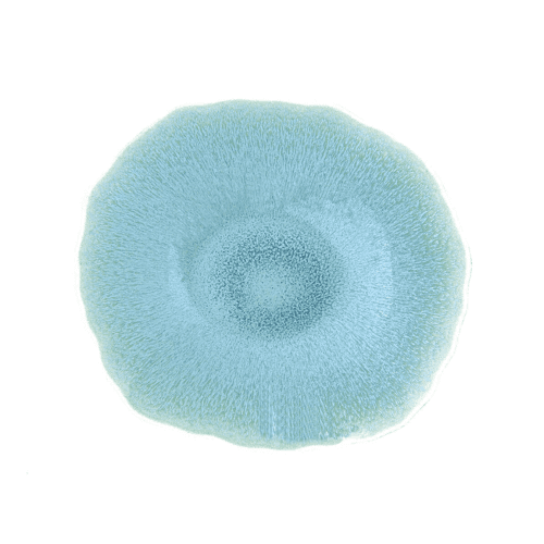 Image showing the Plume Pair of dessert plates product.