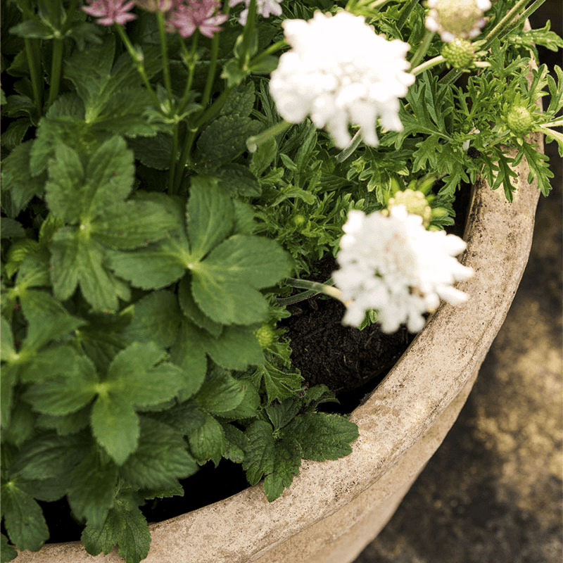Haresfield Planter