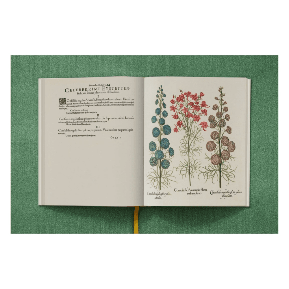 Basilius Besler: The Garden at Eichstatt