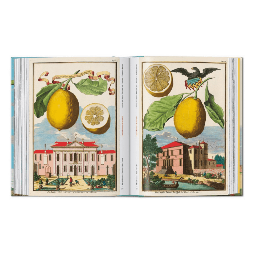 Volkamer: The Book of Citrus Fruits
