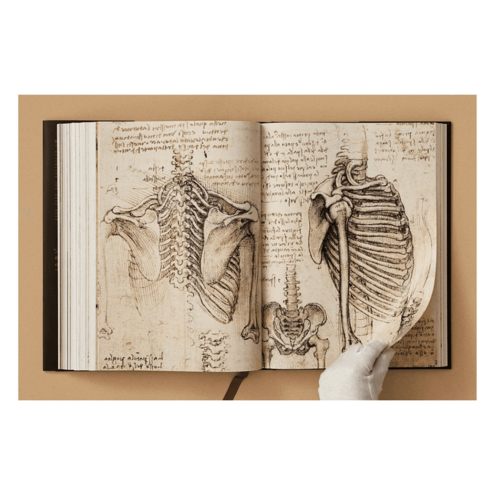 Leonardo: The Complete Paintings & Drawings