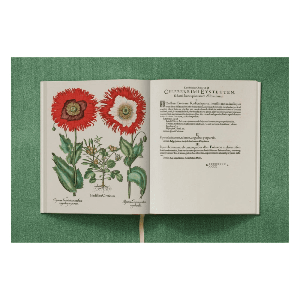 Basilius Besler: The Garden at Eichstatt