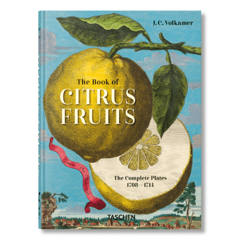 Image showing the Volkamer: The Book of Citrus Fruits product.