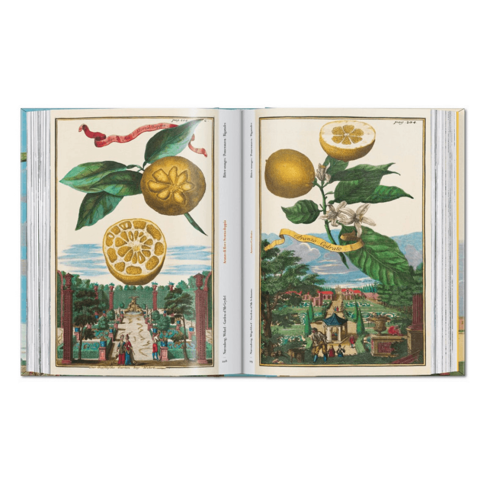 Volkamer: The Book of Citrus Fruits