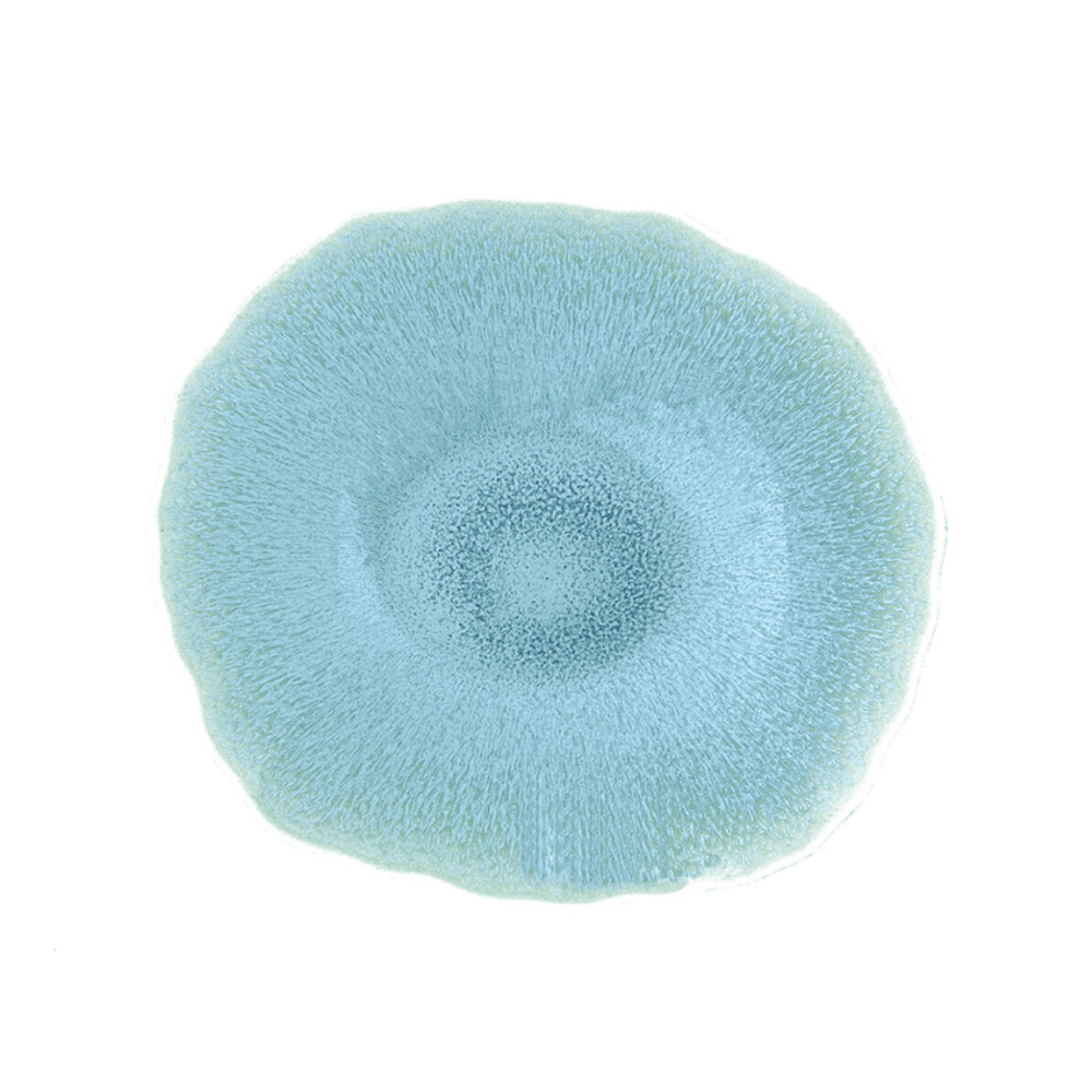 Plume Pair of dessert plates