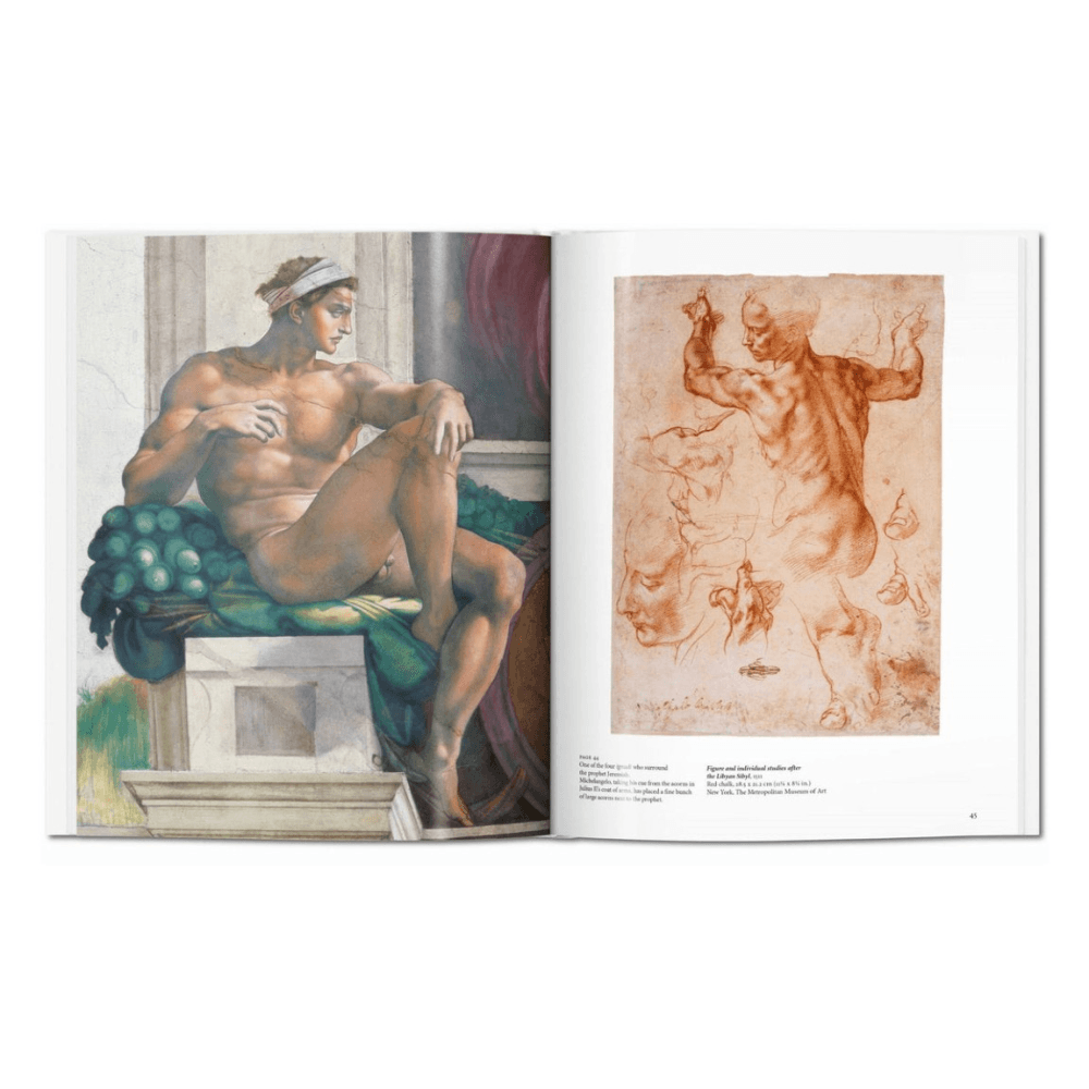 Michelangelo