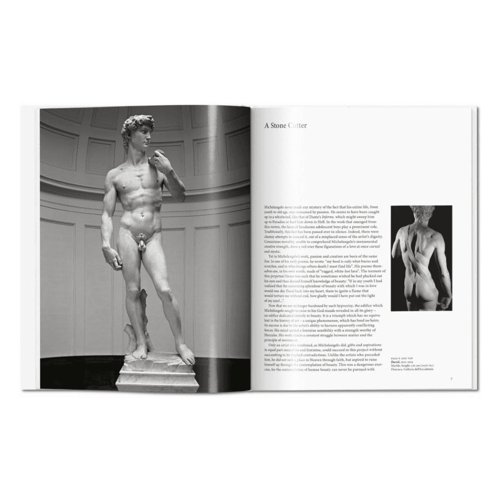 Michelangelo